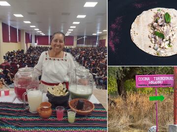 Preparan festival del escamol en Santiago de Anaya