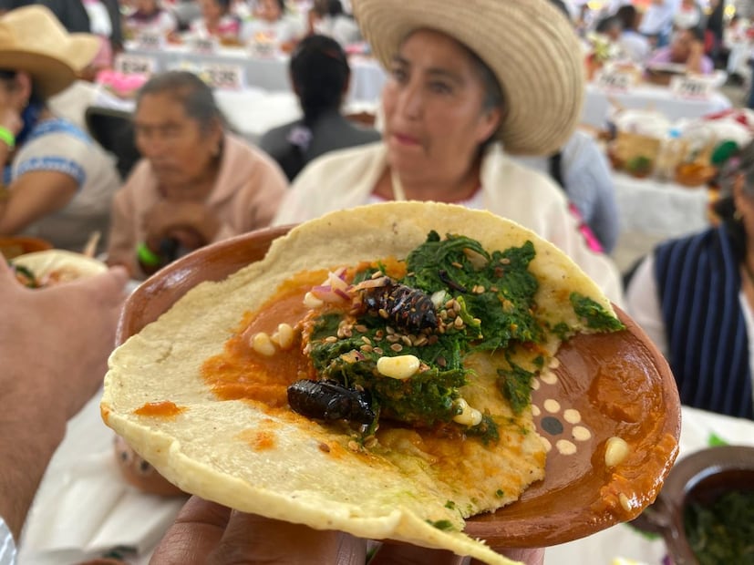 Exquisita combinación de olores y sabores en la Muestra Gastronómica de Santiago de Anaya | Foto: Luis Soriano
