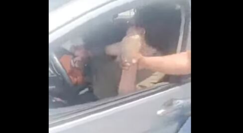 Crece la violencia vial en Pachuca: hombre saca arma blanca en riña entre conductores