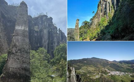 El Cirio: el guardián sagrado de Tenango de Doria que une historia, naturaleza y espiritualidad