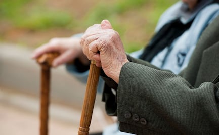 Fondo de Pensiones. Lo que sí contempla y los faltantes: IMCO