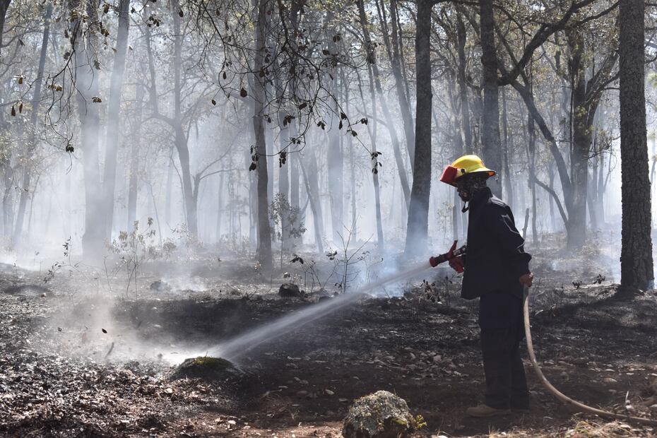 Se capacitan vulcanos de Santiago Tulantepec en combate contra incendios | Foto: Especial