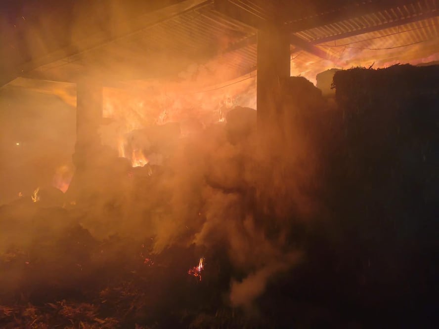 Foto: Redes Sociales