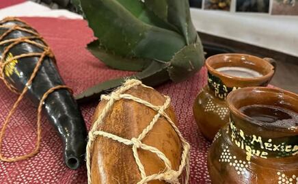 San Salvador contará con vivero de maguey y fortalece la tradición del Valle del Mezquital