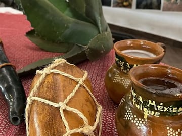 San Salvador contará con vivero de maguey y fortalece la tradición del Valle del Mezquital