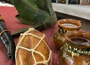 San Salvador contará con vivero de maguey y fortalece la tradición del Valle del Mezquital