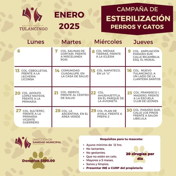 Cortesía: Ayuntamiento de Tulancingo