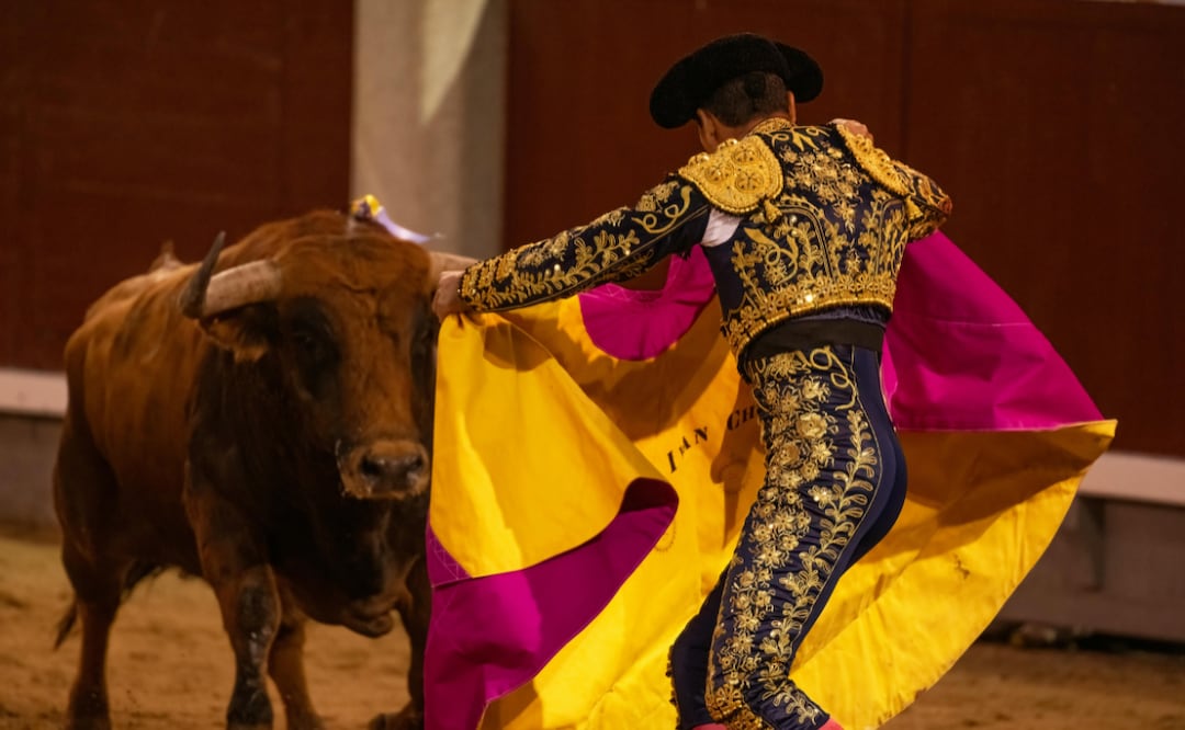 Prohibir corrida de toros en Hidalgo dejaría pérdida anual de 369 mdp | Foto: Pexels