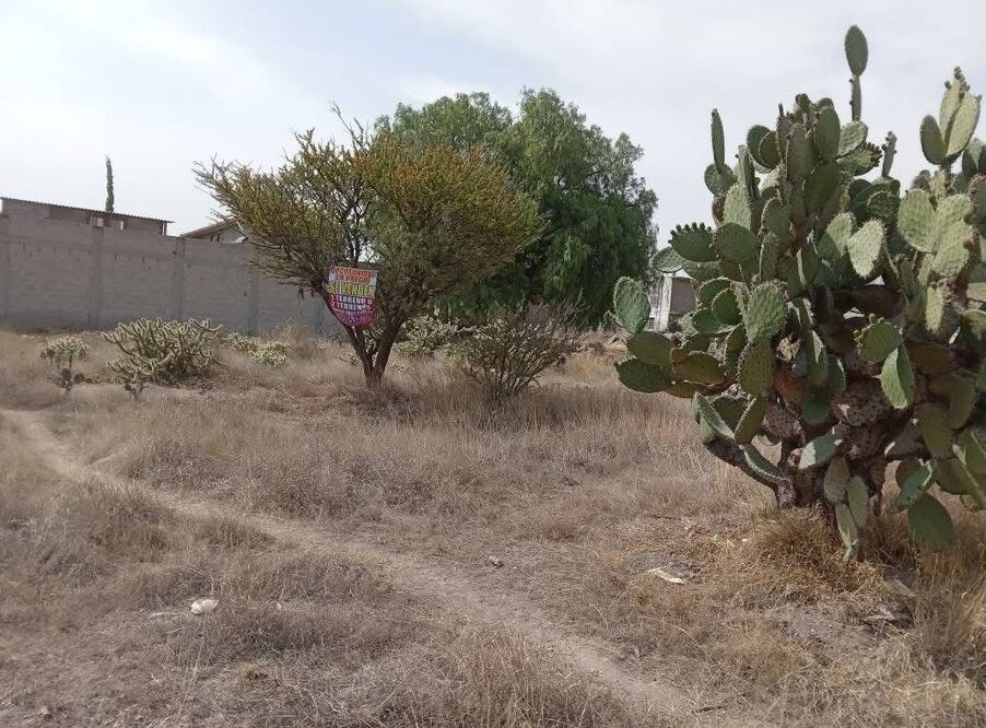 Tizayuca cuenta con más de 300 asentamientos irregulares | Foto: especial