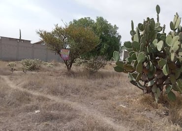 Tizayuca combate fraudes por venta irregular de terrenos; van 300 asentamientos detectados