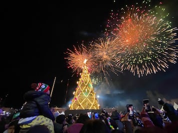 Busca protección contra orden de aprehensión el proveedor del árbol navideño