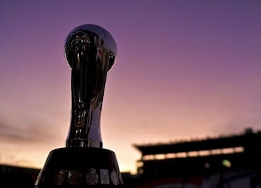 Horarios para la final América vs Tigres de la Liga MX