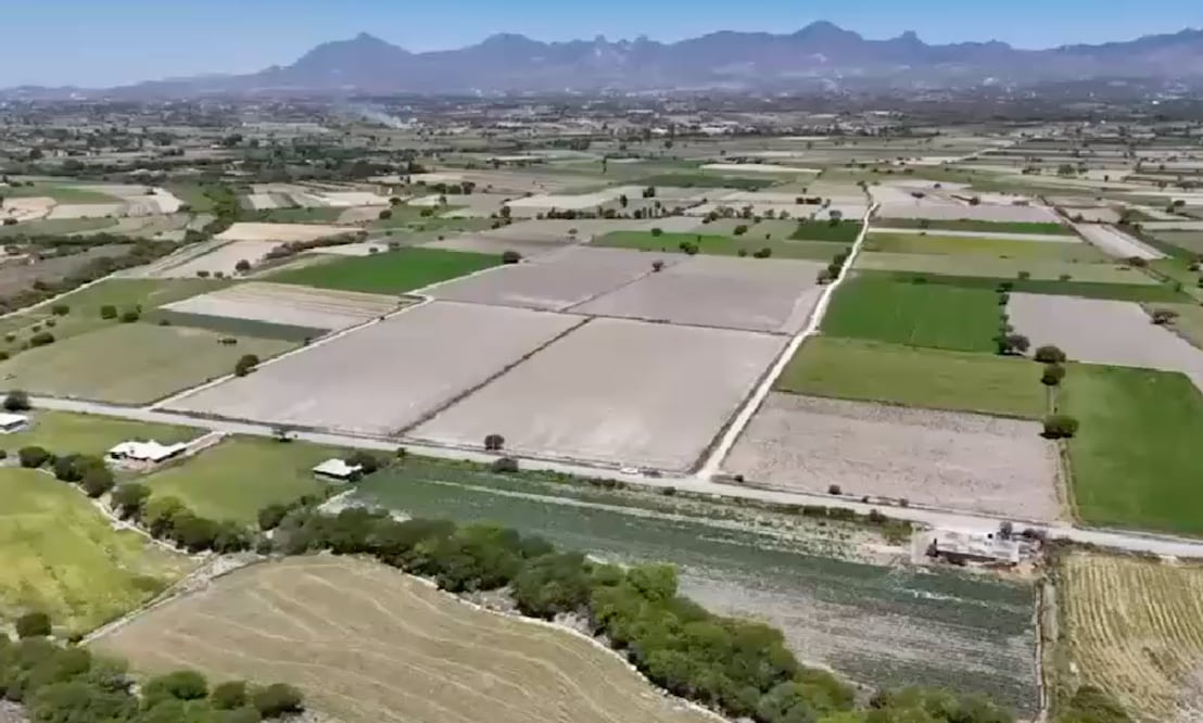 Resultan afectadas alrededor de mil hectáreas de cultivos I Foto: Toma de video