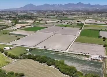 Video: Se registran heladas atípicas en Ixmiquilpan que dañan más de mil hectáreas de cultivos