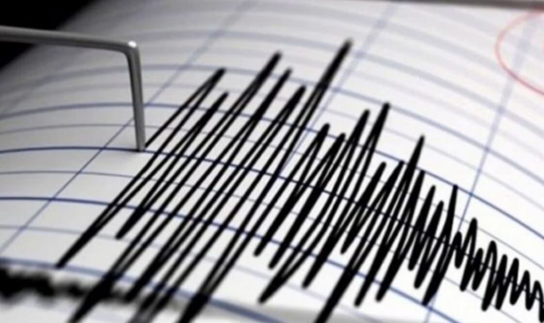 Apps gratuitas que te ayudarán a prevenir sismos
Foto:especial