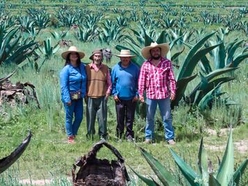Defensores del maguey: una lucha por la tierra, el agua y la vida en Jalapilla