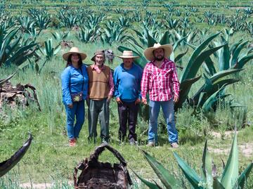 Defensores del maguey: una lucha por la tierra, el agua y la vida en Jalapilla