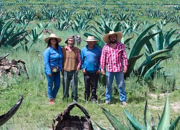 Defensores del maguey: una lucha por la tierra, el agua y la vida en Jalapilla