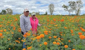 Festival de las Flores en Doxey, Tlaxcoapan inicia este 17 de octubre