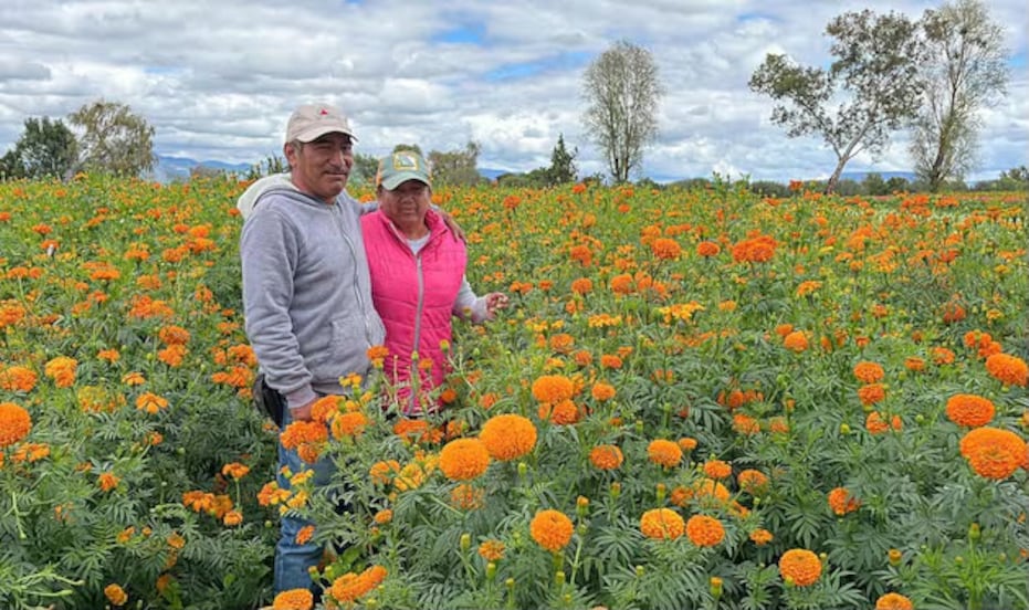 Festival de las Flores en Doxey, Tlaxcoapan inicia este 17 de octubre