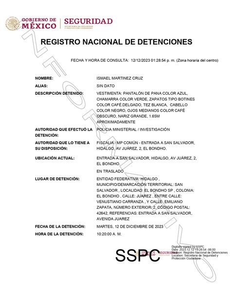 Ficha de detención: Seguridad Pública