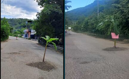 Protestan sembrando plátanos en baches por pésimo estado de carretera en la Huasteca