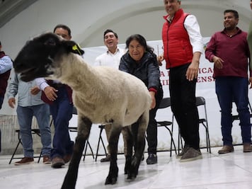 En Hidalgo analizan dejar de contratar seguros agrícola y pecuario; consideran fideicomiso