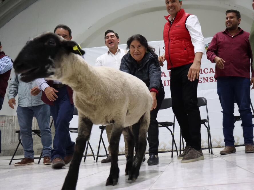 Napoleón González Pérez, titular de la Saderh I foto: Especial