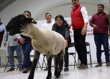En Hidalgo analizan dejar de contratar seguros agrícola y pecuario; consideran fideicomiso