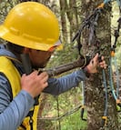 Aplican tratamiento preventivo contra insecto descortezador a oyameles de El Chico