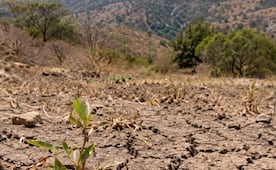 Sequía moderada afecta a cuatro municipios de la Sierra Alta de Hidalgo