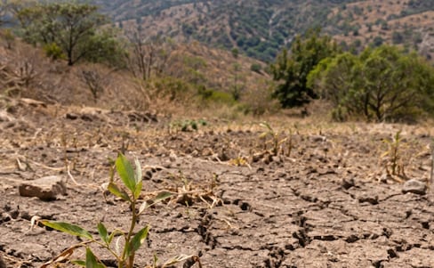 Sequía moderada afecta a cuatro municipios de la Sierra Alta de Hidalgo