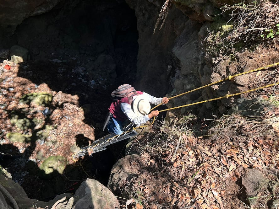 El descubrimiento abre la puerta a nuevas investigaciones y acciones de conservación en la región | Foto: Semarnath