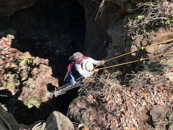 Detectan colonia de murciélagos poco común en cuevas de Cuautepec