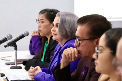 Jueces y magistrados no deben renunciar para elección judicial: Rebeca Aladro