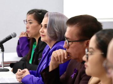 Jueces y magistrados no deben renunciar para elección judicial: Rebeca Aladro