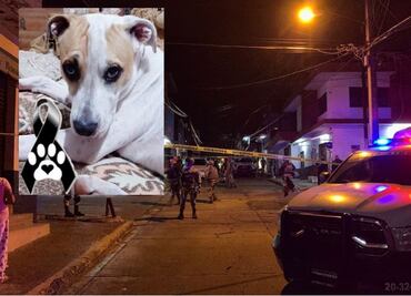Perro muere tras proteger a su dueño de un asalto en Michoacán