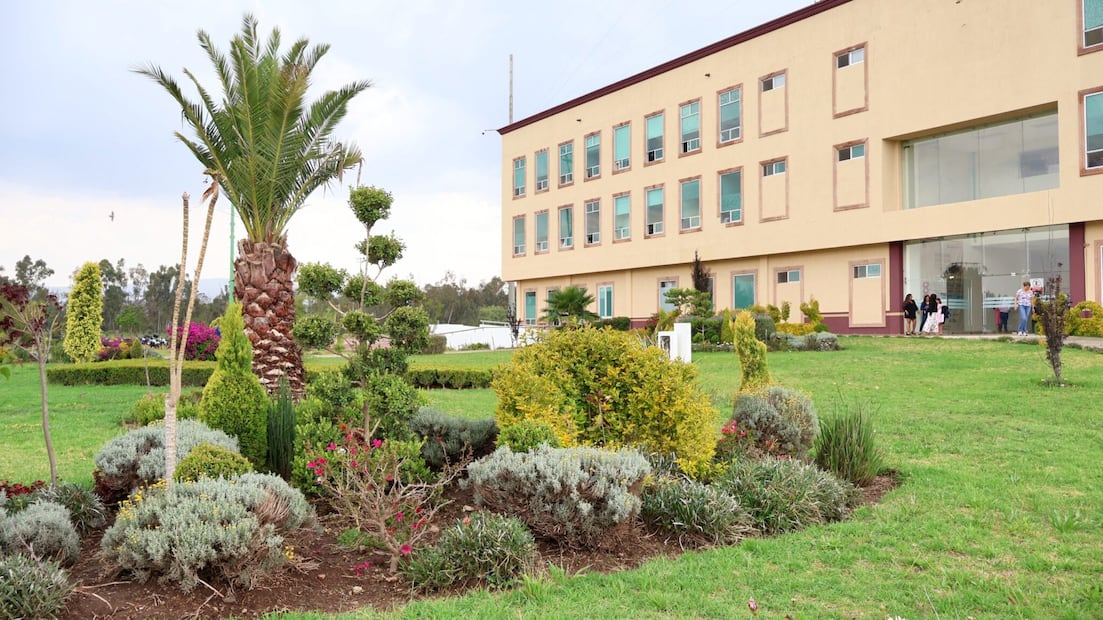 Tulancingo convierte basura orgánica en fertilizante para rescatar áreas verdes | Foto: ayuntamiento de Tulancingo
