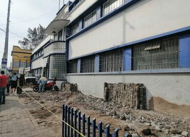 Retiran árboles con hongo de escuela en Tulancingo