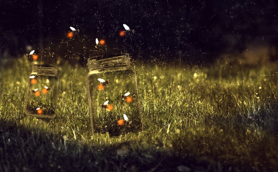 ¡Las noches en Tula se iluminan con magia! Foto: Pixabay