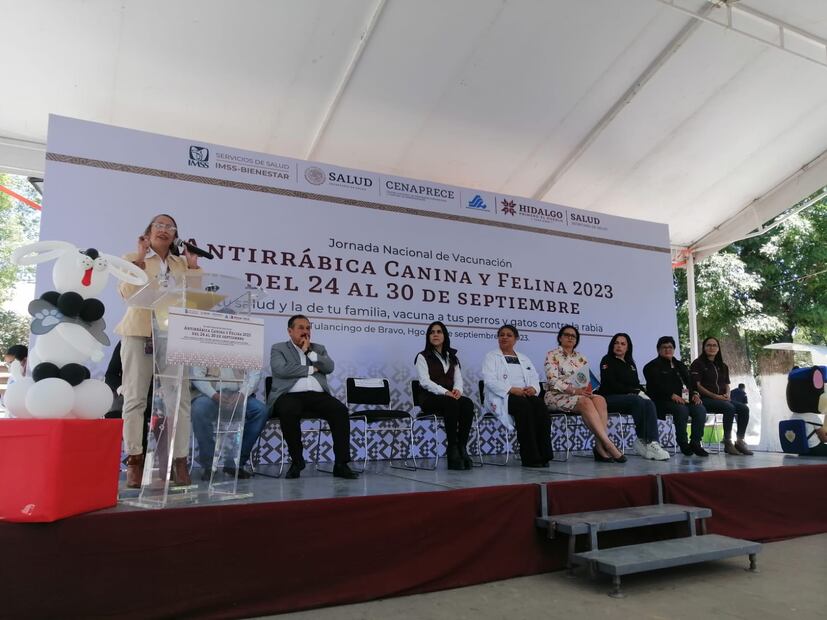 Registran 172 casos de dengue en Hidalgo en el año | Foto: Grisel Lira