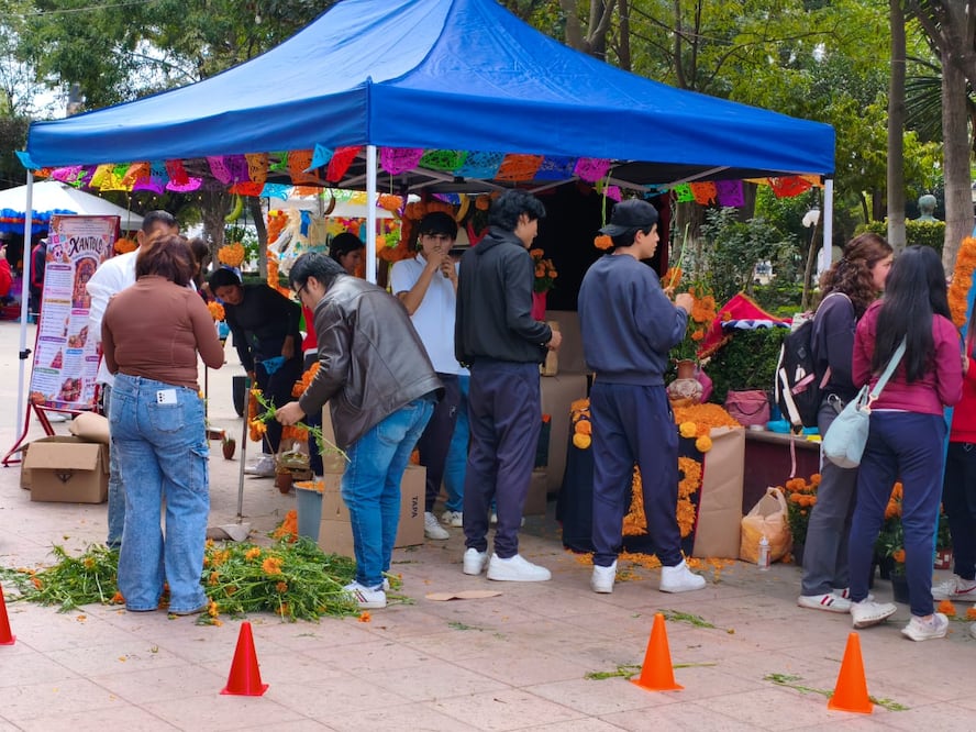Foto:Mirely Santos