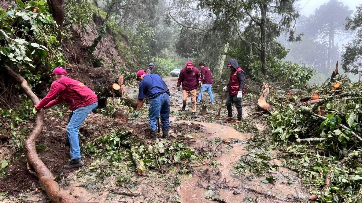 Un grupo de 300 personas se concentra principalmente en la Otomí-Tepehua, Huasteca, Sierra Baja y Sierra Gorda