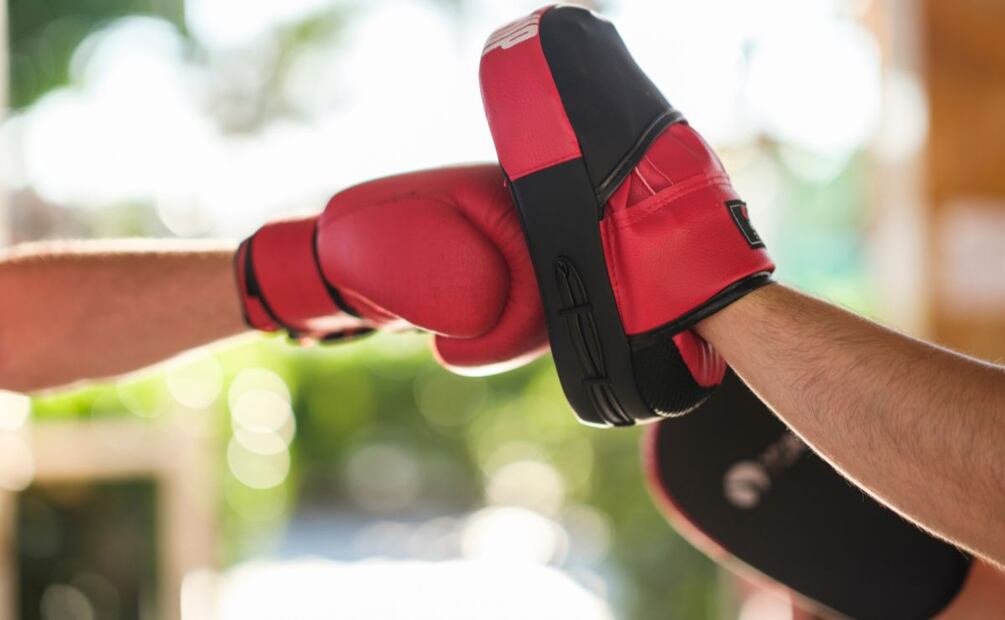 Boxeo llevará actividades a todo el país | Foto: Pixabay