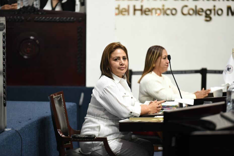 Mónica Mixtega Trejo, titular de la Secretaría de Medio Ambiente y Recursos Naturales de Hidalgo (Semarnath) I Foto: Especial