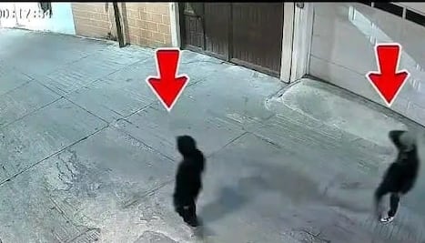 Aplican labores comunitarias a joven que sustrajo una carpa en Ixmiquilpan