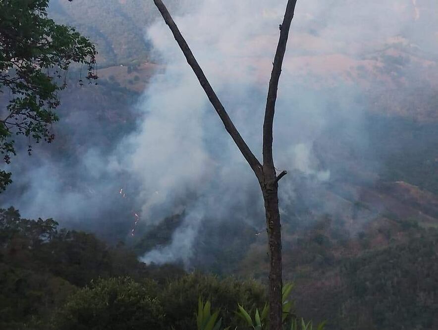 Un incendio que inició el martes 11 de junio en la comunidad de Xitlama, Tlanchinol, se encuentra fuera de control y amenaza con llegar a más comunidades Foto: Especial