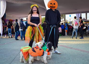 Celebrarán a los muertos con concursos en Santiago Tulantepec