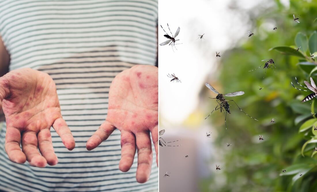 Prevención en marcha | Imágenes ilustrativas