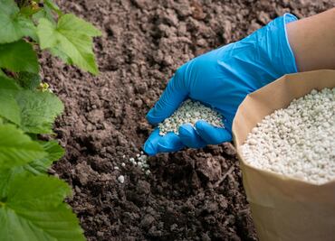 En Hidalgo, 28 mil 880 productores recibieron fertilizantes